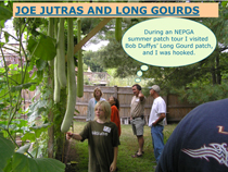 How I Grew a WR Long Gourd