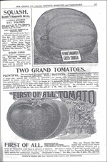 Rennie Seed Company Ad