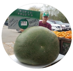 How I Grew the WR 470.5 Bushel Gourd DVD