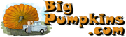 www.bigpumpkins.com